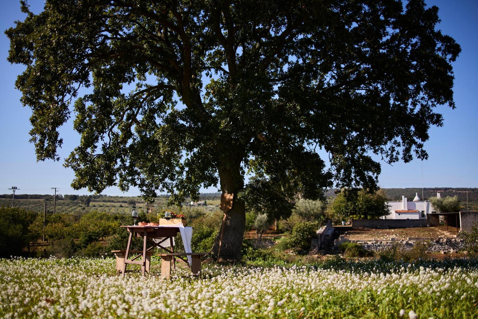 Tenuta Giotta Villa Castellana Grotte Exterior foto